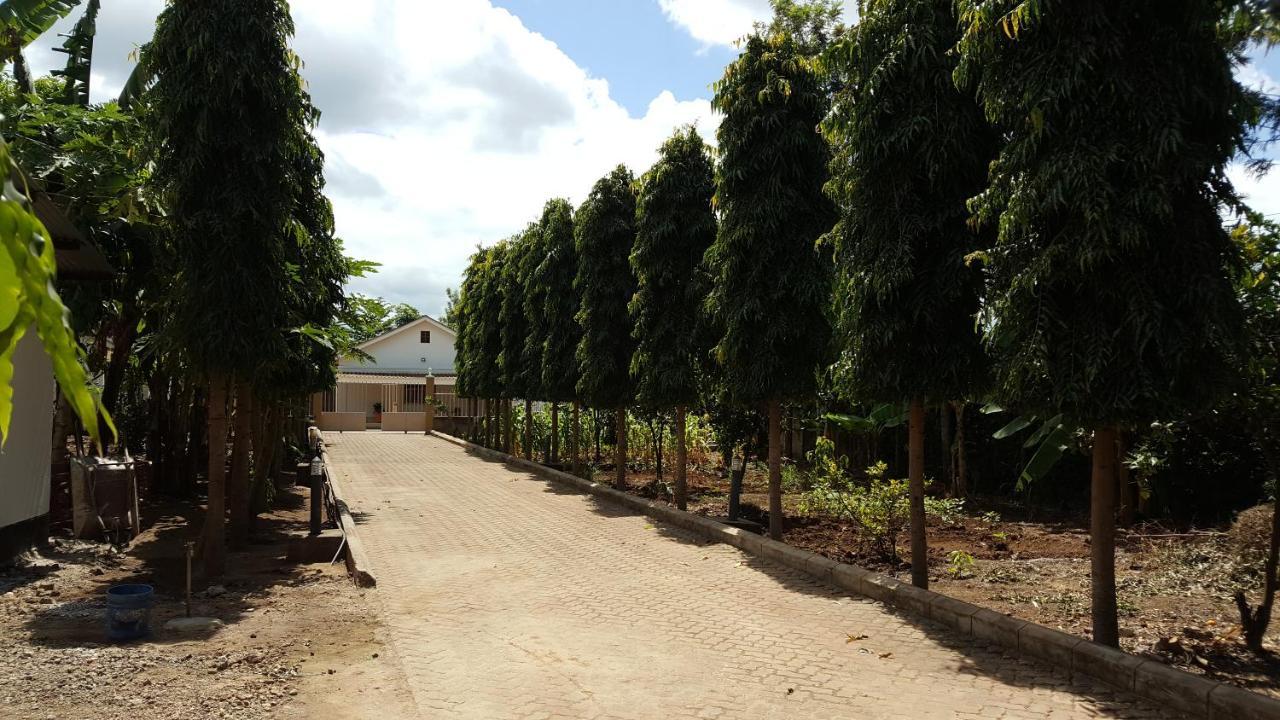 Kilimanjaro Country House モシ エクステリア 写真