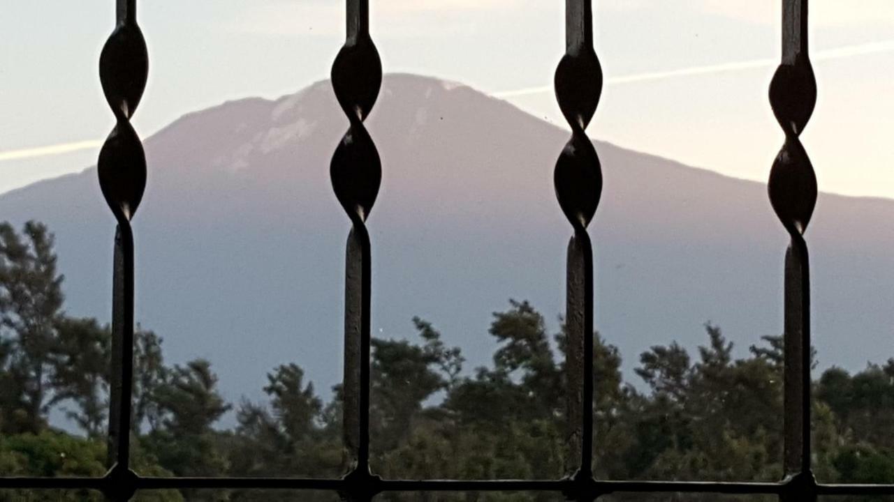 Kilimanjaro Country House モシ エクステリア 写真
